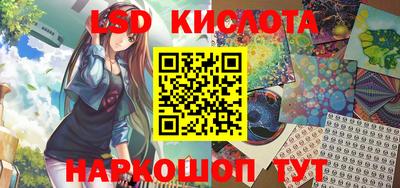 прущие грибы Сланцы