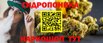 прущие грибы Сланцы