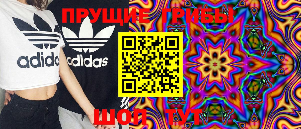 Галлюциногенные грибы Psilocybe  Вход с VPN  Новозыбков 